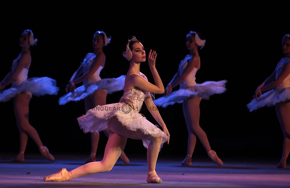 La Compañía Nacional de Danza presenta la 40ª  temporada El Lago de los Cisnes.