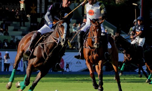 POLO FEST ¡MEXICO CITY OPEN! Gran Final