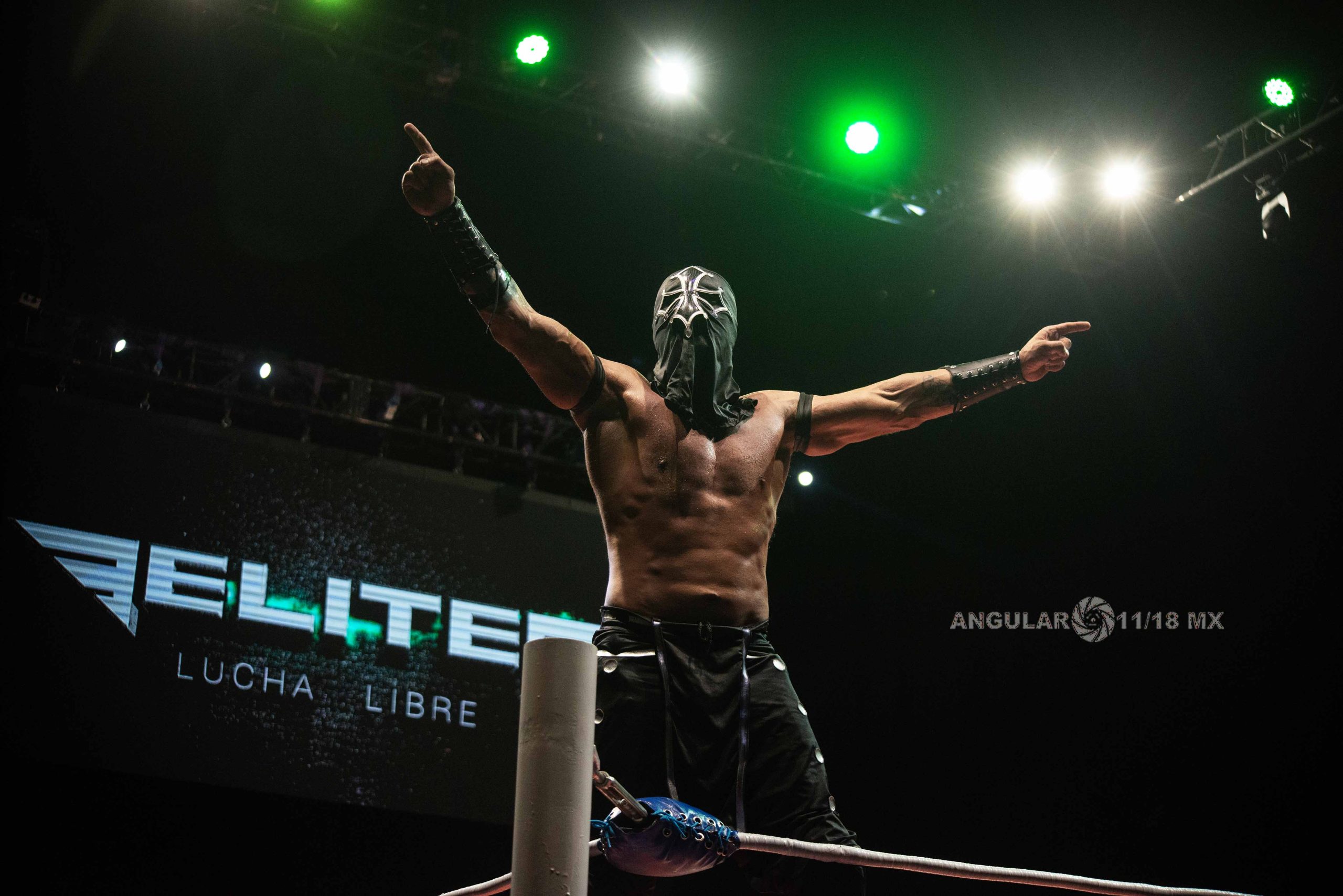 Lucha Libre Elite