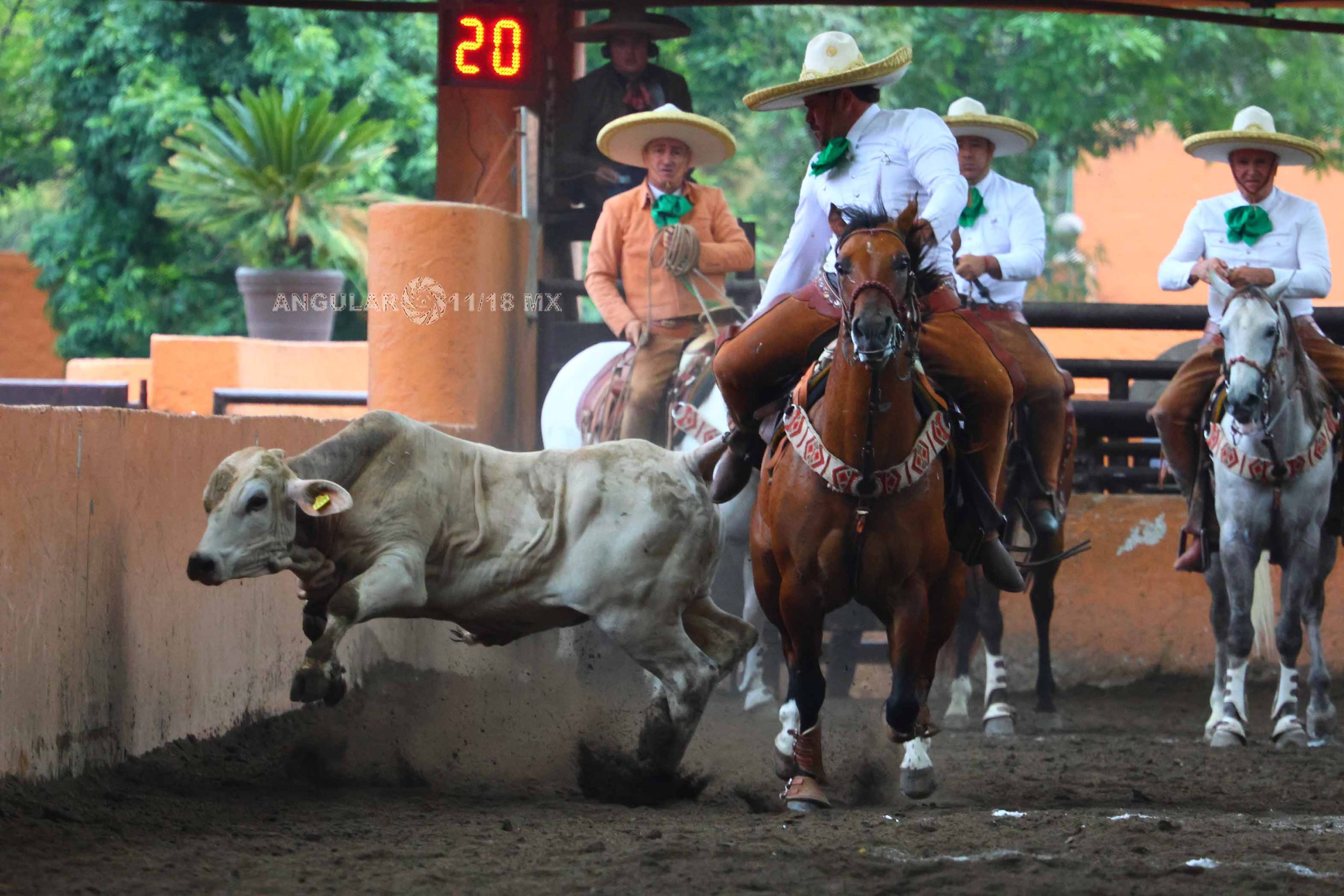 Charro Fest 2024