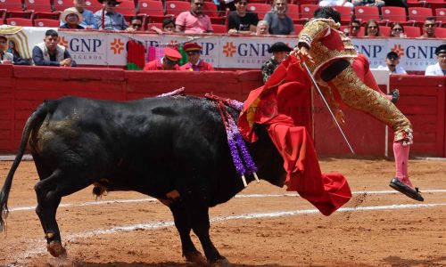 Novena Novillada 2024 Plaza de Toros México