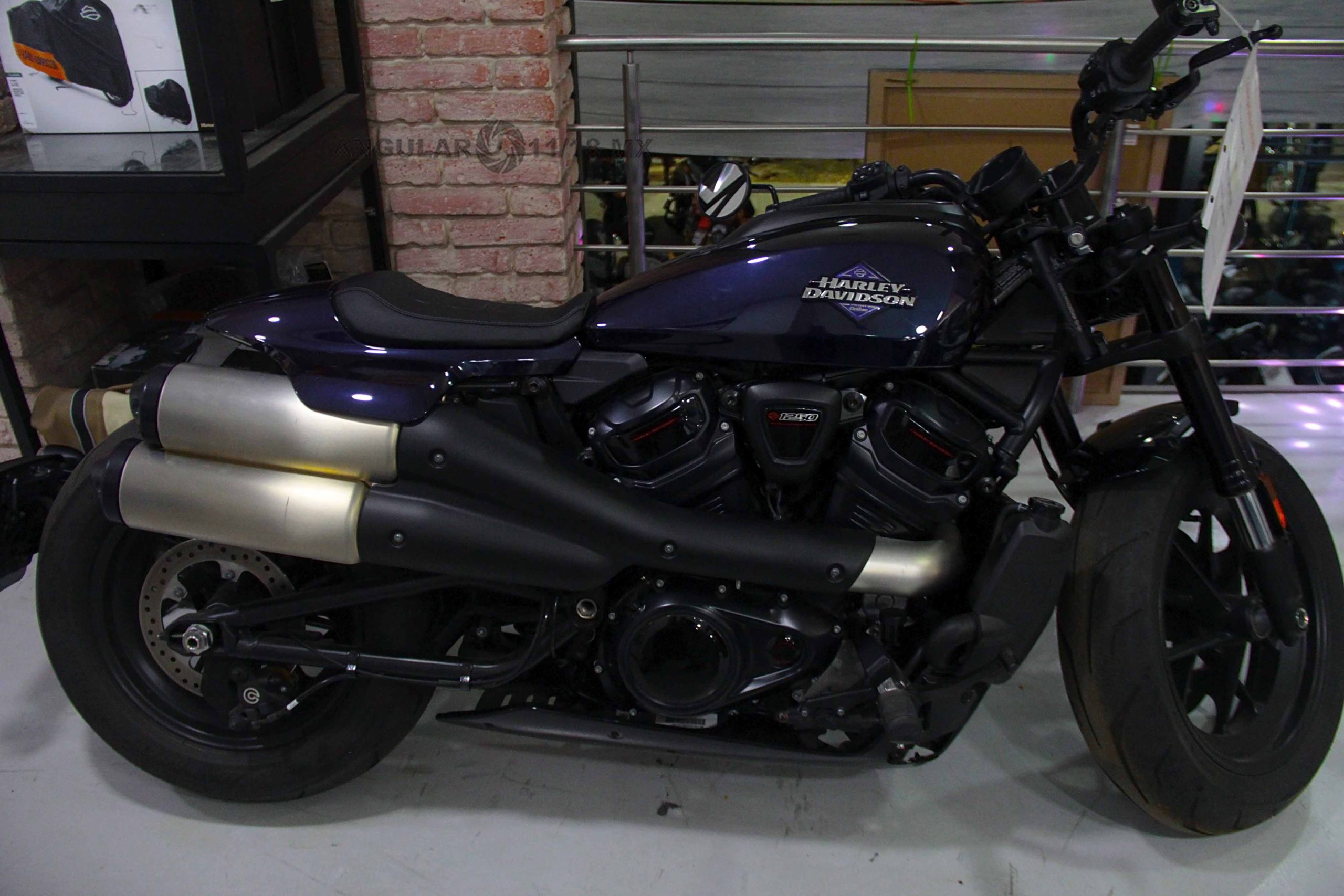 “Harley-Davidson Nights” 2026 CDMX.