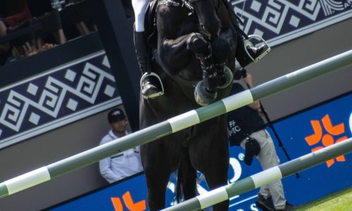 GRAN FINAL LONGINES GLOBAL CHAMPIONS TOUR MÉXICO 2026
