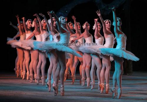 La Compañía Nacional de Danza presenta la 40ª  temporada El Lago de los Cisnes.